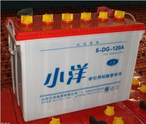 小洋牌电动三轮车用铅酸蓄电池