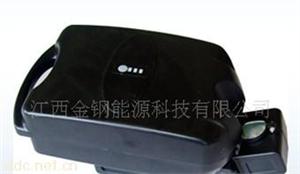 金刚小青蛙24V电动自行车电池
