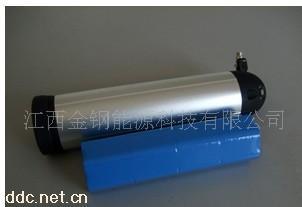 金钢动车一号电动自行车电池