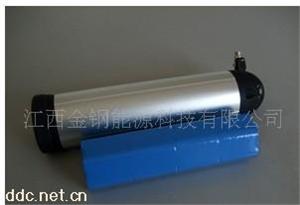 金钢动车一号电动自行车电池