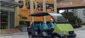 深圳凯瑞德酒店别墅5座电动会所车