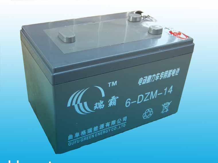 山东瑞霸高质量6-DZM-14电动车专用蓄电池