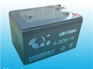 山东瑞霸高质量6-DZM-14电动车专用蓄电池