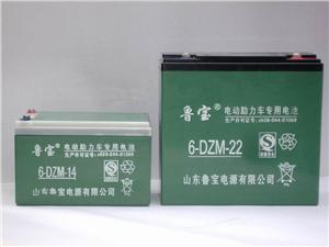 山东鲁宝6-DZM-14电动助力车电池