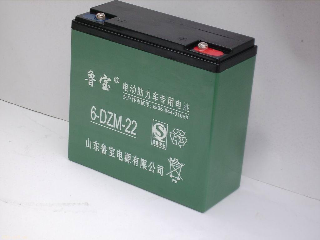 鲁宝6-DZM-20电动助力车专用电池