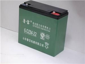 鲁宝6-DZM-20电动助力车专用电池