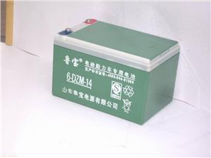 山东鲁宝电动助力车专用电池 6-DZM-14