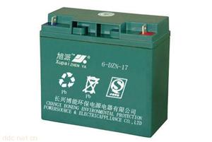 湖州长兴旭派6-DZN-17电动助力车电池