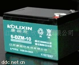 康丽欣电动车排气式蓄电池