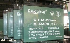 康丽欣DZM-12A电动车蓄电池