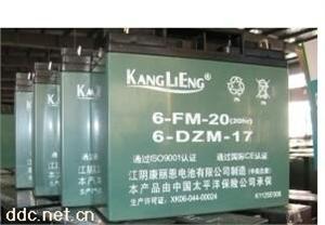 康丽欣排气式电动车蓄电池6-DZM-12