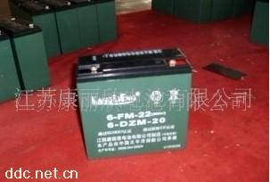 康丽欣电动三轮车蓄电池