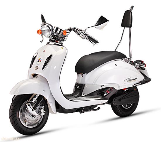 大运电动车豪华系列龟王