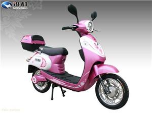 雅二号  简易款电动车 电动自行车 电动摩托车