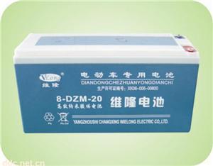 8-DZM-20维隆电动车蓄电池