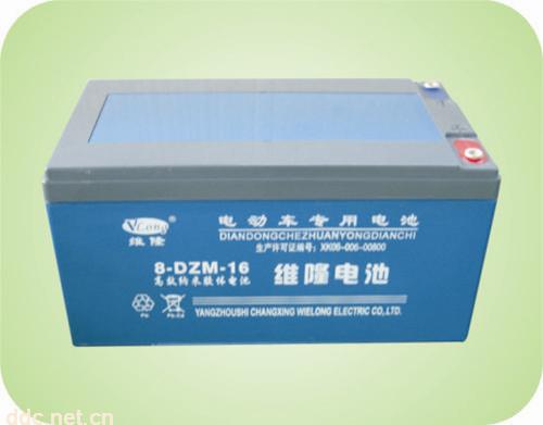 维隆8-DZM-16电动车蓄电池