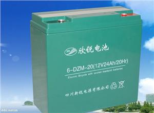 新锐6-DZM-20电动车动力蓄电池
