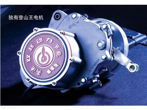 铃本登乖乖兔山王(48V)电机