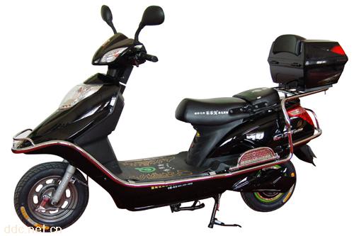 铃本乖乖兔城市骆驼 TDR103Z