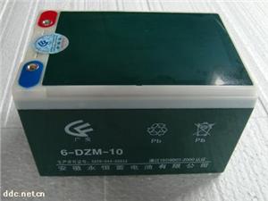 永恒6-DZM-10蓄电池