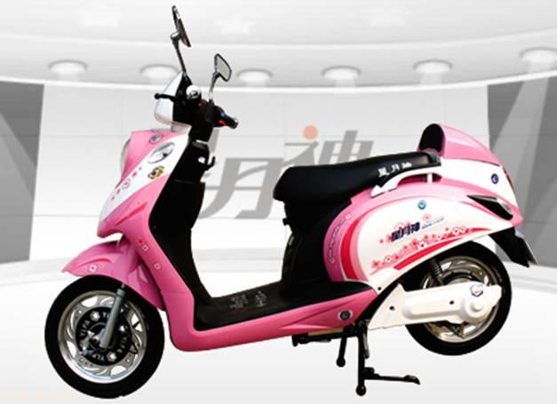 星月神风铃TDR246Z2电动车