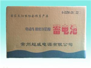 6-DZM-17常超电动助力车专用蓄电池