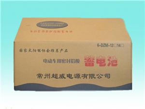 常超多种型号电动车蓄电池