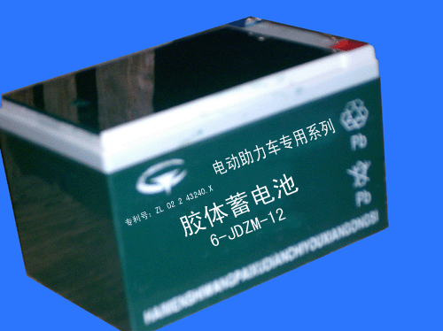 王牌电动车专用胶体电池