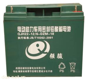 供应强骏牌优质密封电动车铅酸蓄