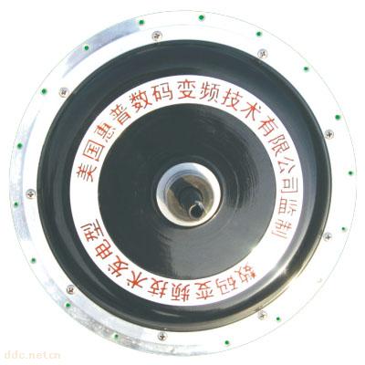 SNW-16无刷圣威王中王辐条电机