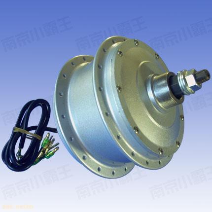 供应无刷辐条轮小霸王电机