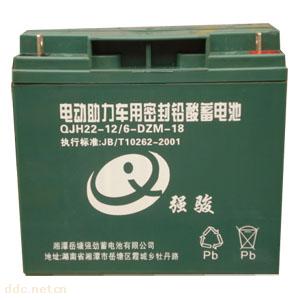 强骏牌QJH22-12型号电动车专用蓄