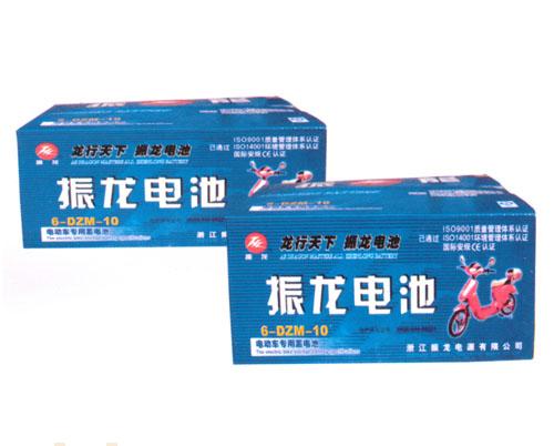 振龙电池6-DZM-10
